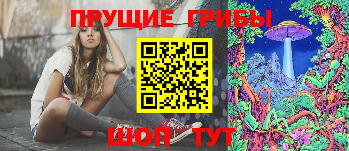Черняховск  Галлюциногенные грибы Magic Shrooms  Вход с VPN 