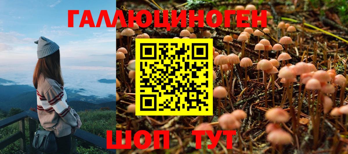 Псилоцибиновые грибы мухоморы Черняховск
