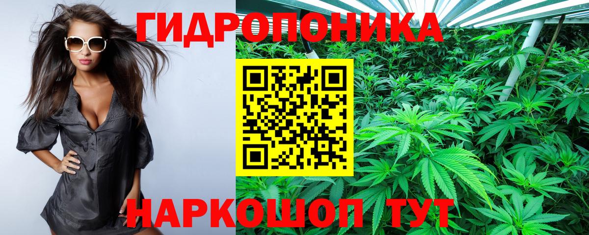 Конопля AK-47  Конопля MAZAR  Бошки марихуана SATIVA & INDICA  Черняховск  Вход с VPN  Бошки марихуана Amnesia 